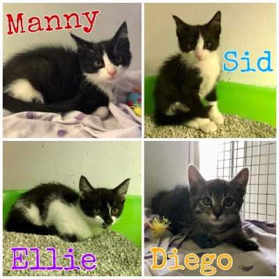 Manny, Sid, Diego, Ellie