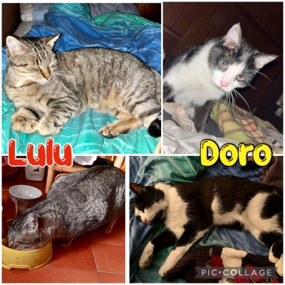Lulu & Doro