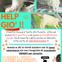 !! RACCOLTA CHIUSA !! - HELP GIO’