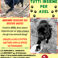 !! CHIUSA !! - Tutti insieme per Axel - RACCOLTA FONDI