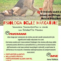 Seminario cinofilo - Fisiologia delle Marcature